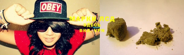 трава Магадан