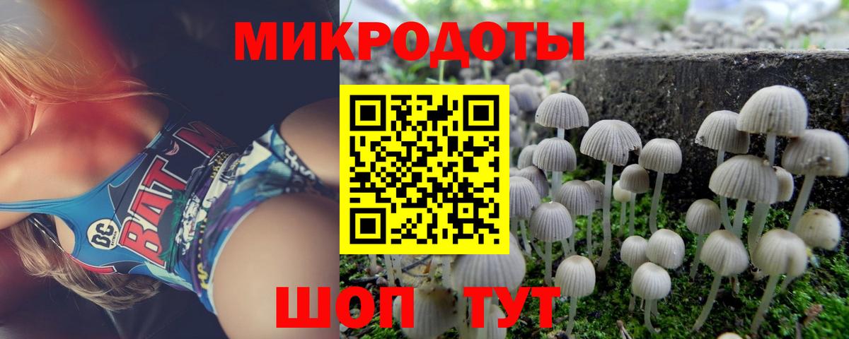 Псилоцибиновые грибы Якутск
